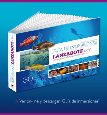 Fabulous Free Dive Guide For Lanzarote