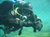 Thomas from Stuttgart Baden-wurtenburg | Scuba Diver