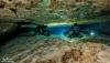 Ginnie or Little River Cave dive