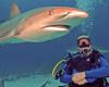 Sean from Puyallup WA | Scuba Diver