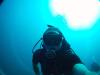 Bradley from Boynton Beach FL | Scuba Diver