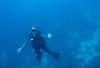 Steve from Palm Harbor FL | Scuba Diver