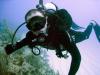 Bryan from Miami Beach FL | Scuba Diver