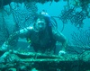 diverva