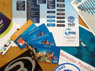 Beginners Guide to Diving, Part 2 Beginners Guide to Diving, Part 2