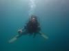 Dive in Manado - Bunaken