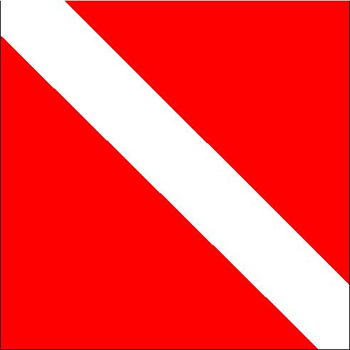 Diver Down Flag in Texas