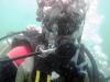 Aditya from Bangalore Karnataka | Scuba Diver