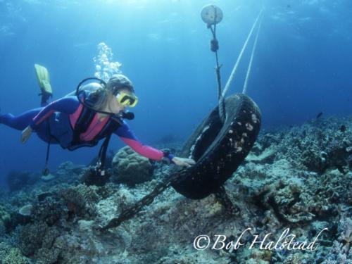 Ethical Diving