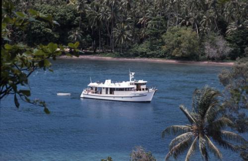 Dive Boat Dreams