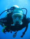 Amr from Cairo Cairo | Scuba Diver