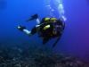 Rob from Ottawa Ontario | Scuba Diver