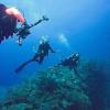 Brenda from Aguadilla Puerto Rico | Dive Center