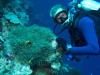 Blake from Honolulu HI | Scuba Diver