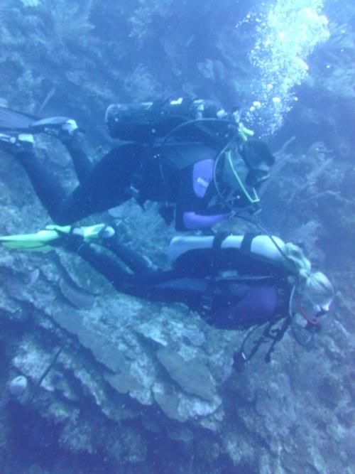 Diving Roatan Honduras east end