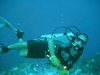 Michael from Rockledge FL | Dive Center
