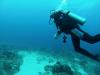 Panama City Beach FL 6/13-6/15 2013 Dive Buddy Needed