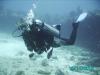 Cruise and Dive Roatan, Belixe, Cozumel