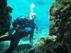 Randy from Alexandria KY | Scuba Diver