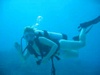 Stacy from West Palm Beach FL | Scuba Diver