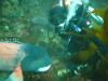 Austin from Richmond VA | Scuba Diver