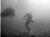 Joseph from Chicago IL | Scuba Diver