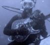 Chuck from Santa Barbara CA | Scuba Diver