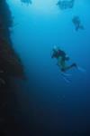 Bonnie from Zephyrhills FL | Scuba Diver