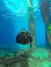 Brian from Aberdeen NC | Scuba Diver