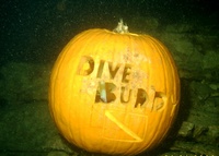 Pumkin Carving Dive