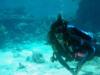 Dive Buddies stationed on Wake Island