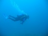 Travis from Sarasota FL | Scuba Diver
