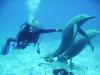 Carol from Tarpon Springs FL | Scuba Diver