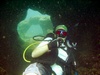 Duane from Honolulu HI | Scuba Diver