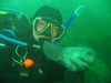 Jes from Victoria BC | Scuba Diver