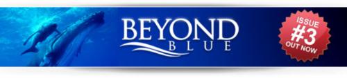 Beyond Blue issue 3 is now available 