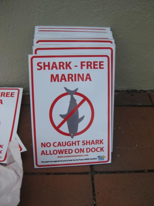 “No Caught Shark Allowed”: Matava leading the Shark Free Marina Initiative in Fiji