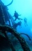 Alex from Golfe Juan  | Dive Center