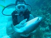 Rich from Saint Louis MO | Scuba Diver