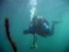 Tolga from San Diego CA | Scuba Diver