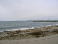 edmonds underwater park