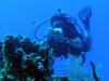 Dana from Van Nuys CA | Scuba Diver