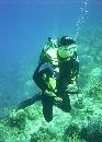 Anyone Diving in Muscat, Oman June 1-3??