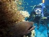 Barna from Budapest Budapest | Scuba Diver