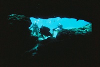 Ginnie Springs Fl