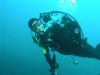 Sean from Kihei HI | Scuba Diver