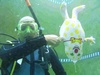 Susan from Margate  | Dive Center