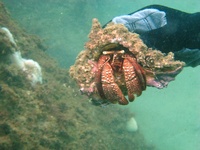 St Andrews State Park Jetties - Redemption!