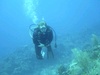 Andy from Gig Harbor WA | Scuba Diver