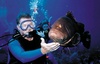 Dan from Research Triangl NC | Instructor